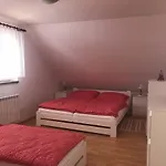 Ve Sněžném *