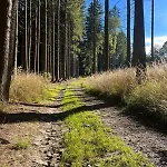 Ve Sněžném Hébergement de vacances