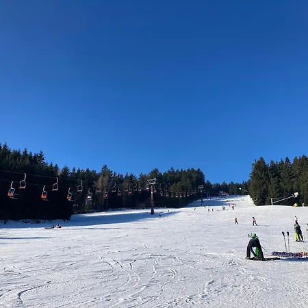 Ve Sněžném *