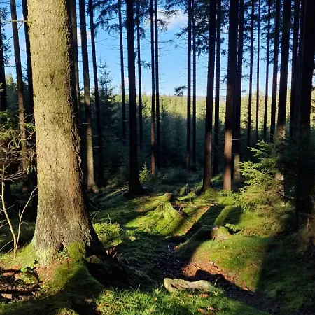 Feriehus Ve Sneznem Sněžné